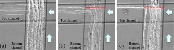 Particle trajectories